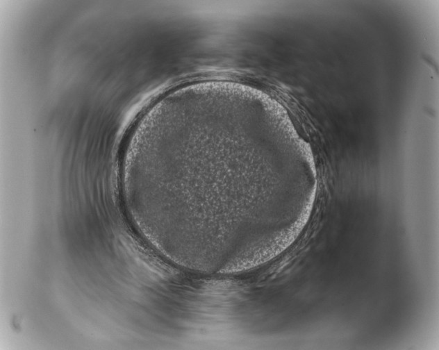 X0000102480342200808291632