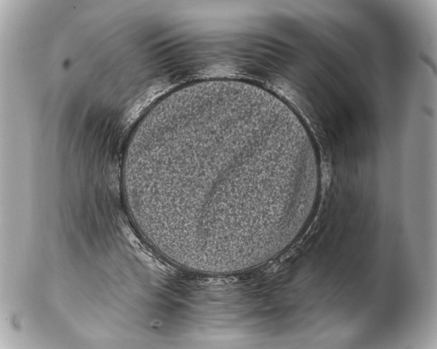 X0000102480345200808291632