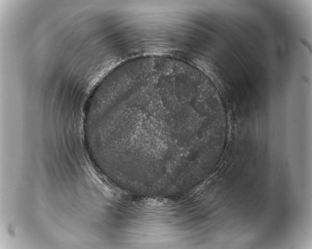 X0000102480346200808291632