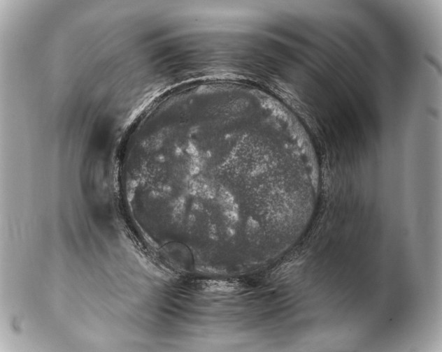 X0000102480347200808291632