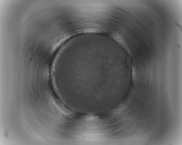 X0000102480348200808291632