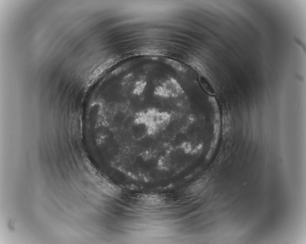 X0000102480349200808291632