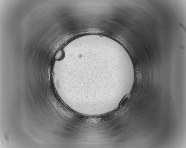 X0000102480350200808291632