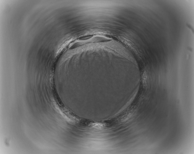 X0000102480352200808291632