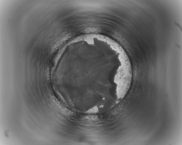 X0000102480353200808291632