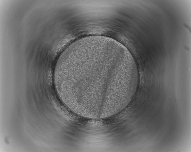 X0000102480354200808291632