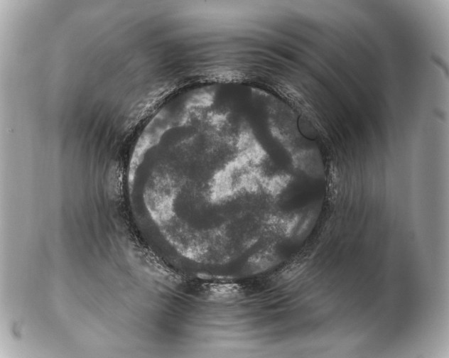 X0000102480355200808291632