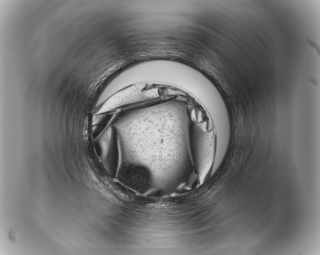 X0000102480356200808291632