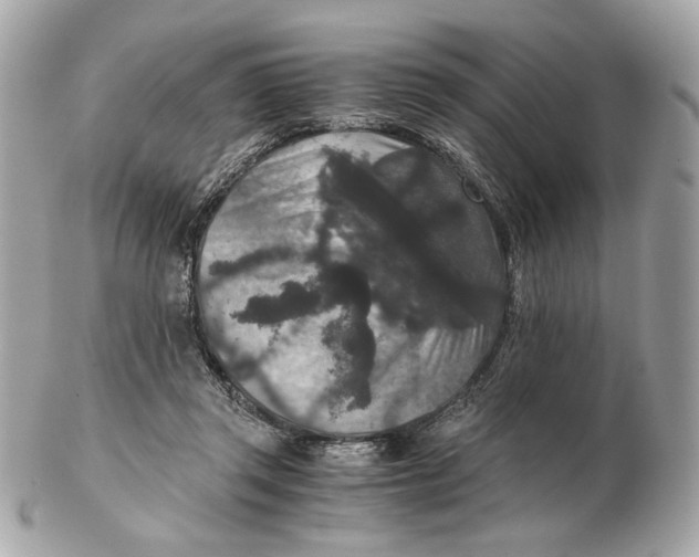 X0000102480357200808291632