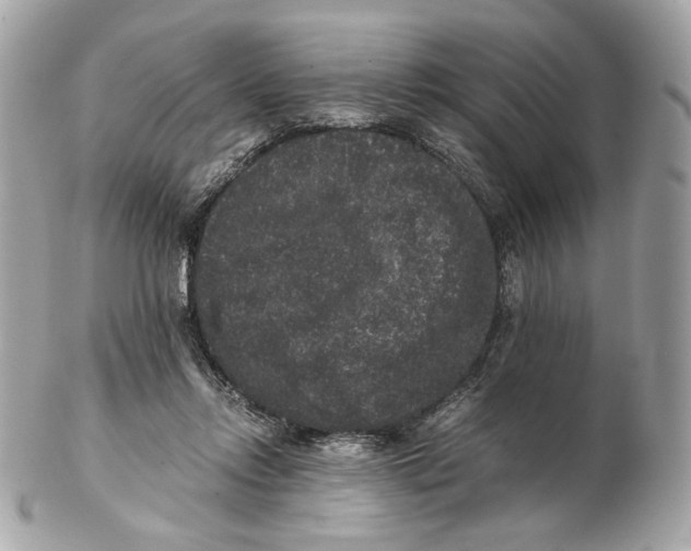 X0000102480358200808291632