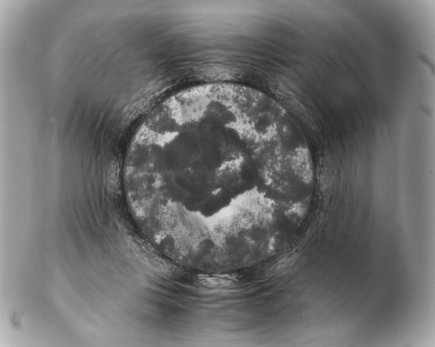 X0000102480359200808291632