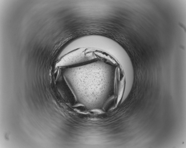 X0000102480360200808291632