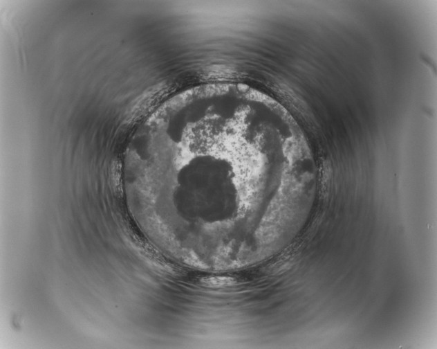 X0000102480361200808291632