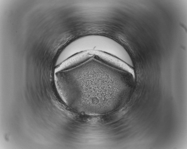 X0000102480362200808291632