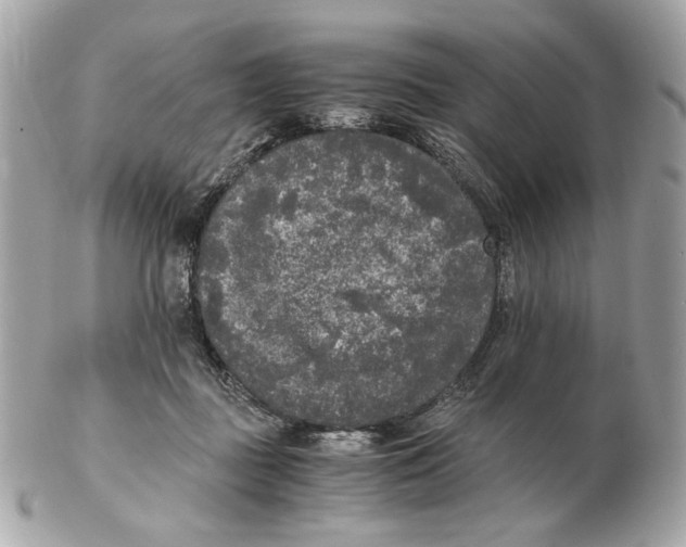 X0000102480363200808291632