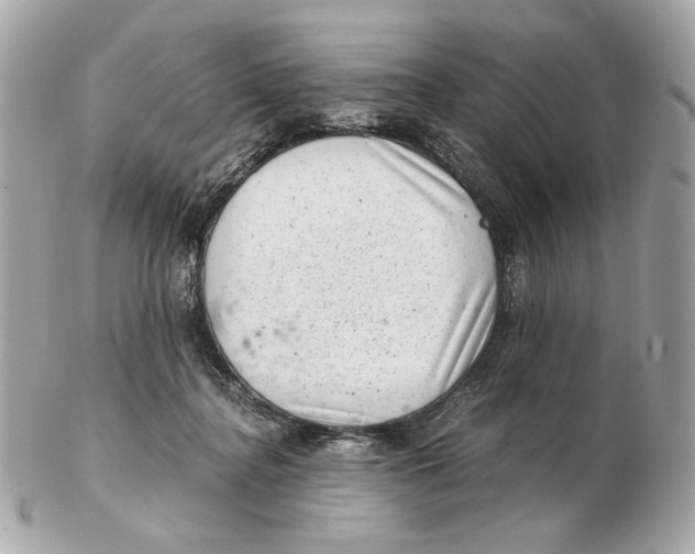 X0000102480364200808291632