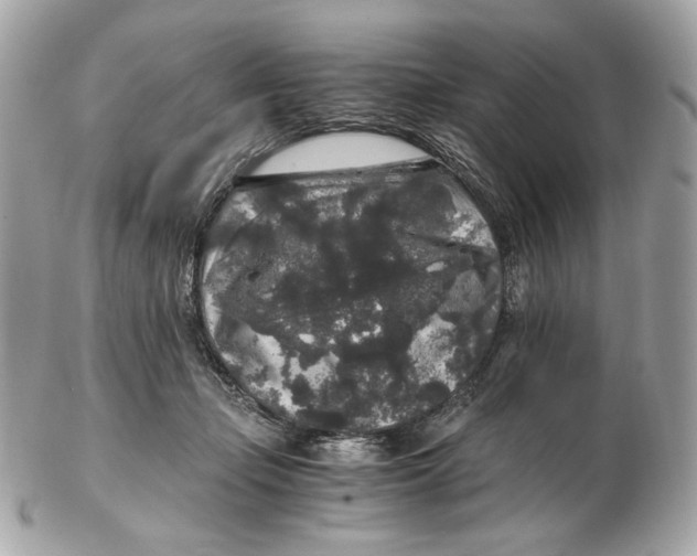 X0000102480365200808291632