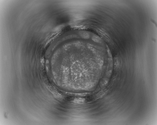 X0000102480369200808291632