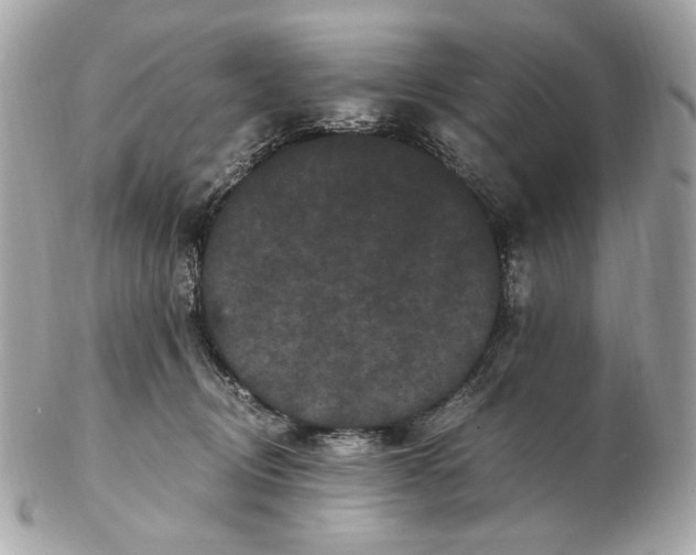 X0000102480370200808291632