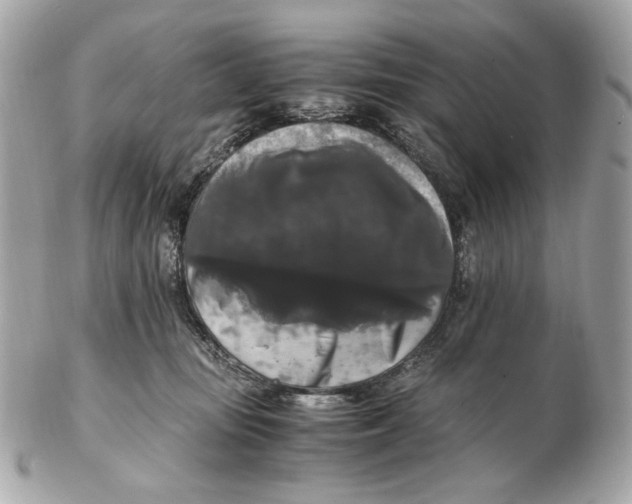 X0000102480371200808291632