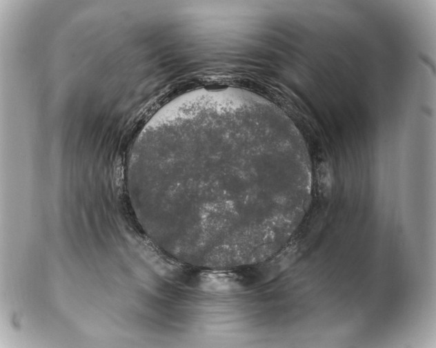 X0000102480372200808291632