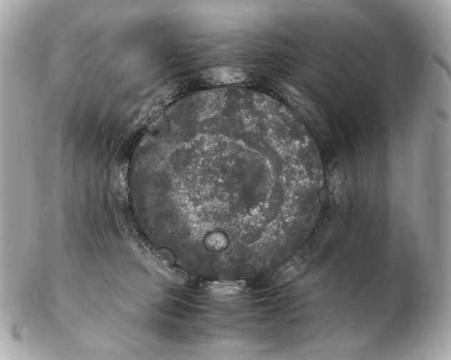 X0000102480373200808291632