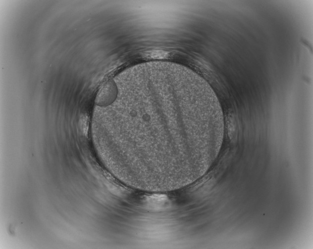 X0000102480374200808291632