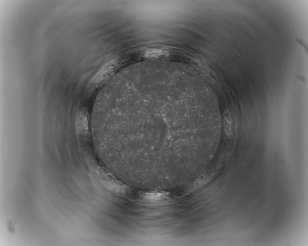 X0000102480375200808291632