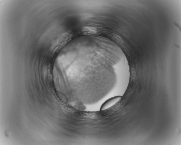 X0000102480377200808291632