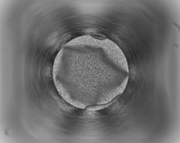 X0000102480379200808291632