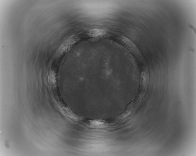 X0000102480380200808291632