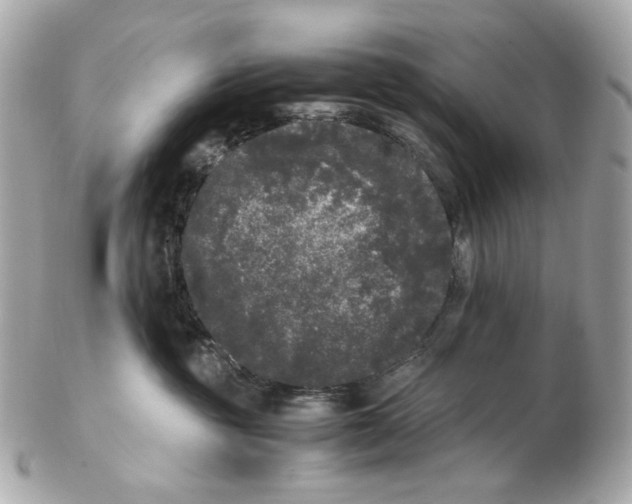 X0000102480381200808291632