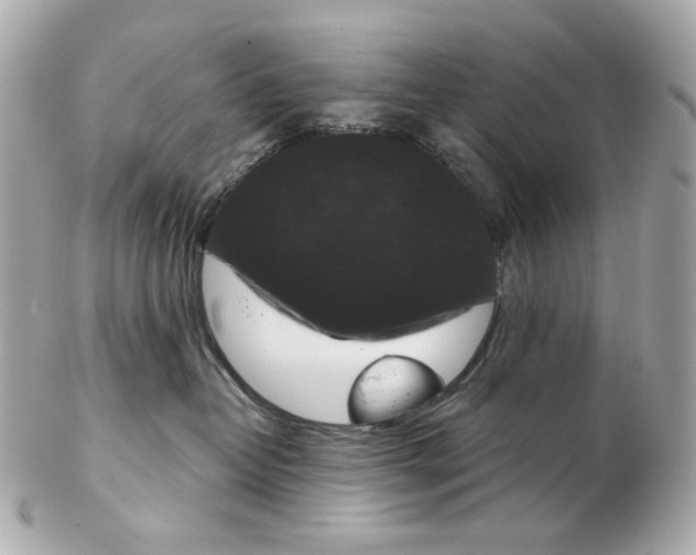 X0000102480382200808291632