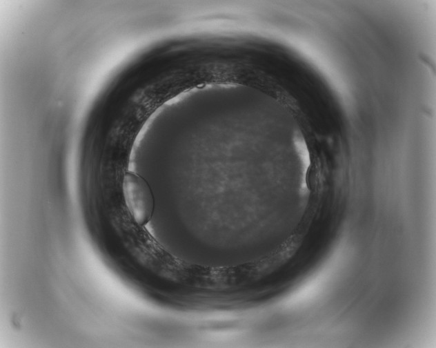 X0000102480383200808291632