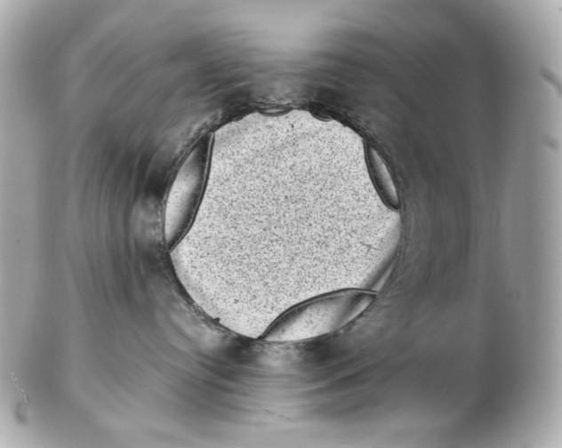 X0000102480384200808291632