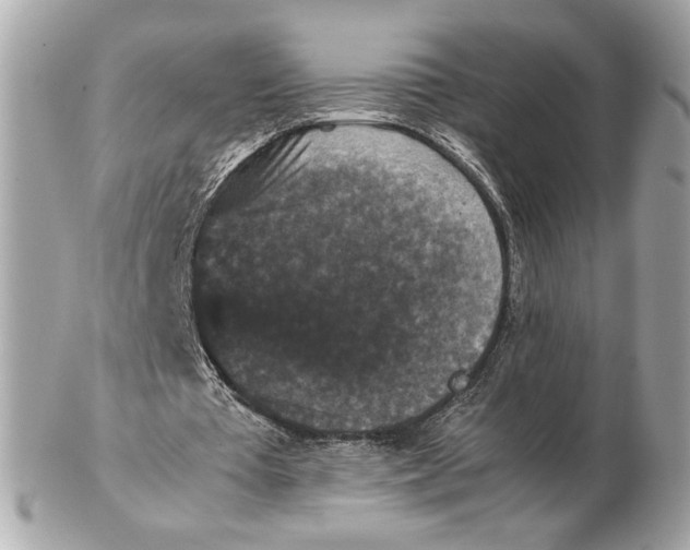 X0000102480385200808291632