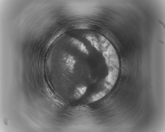 X0000102480386200808291632