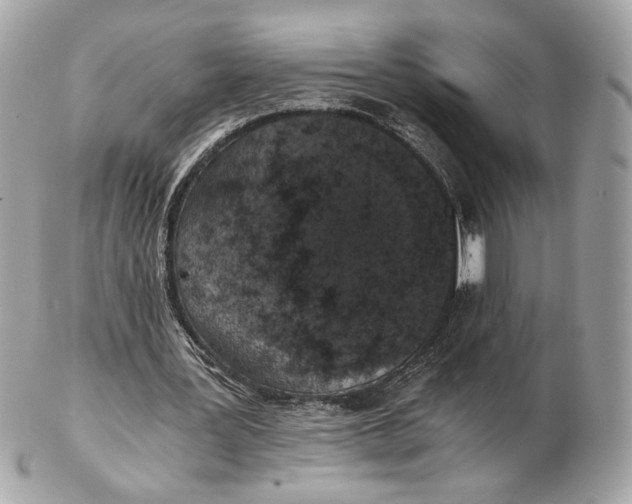 X0000102480387200808291632