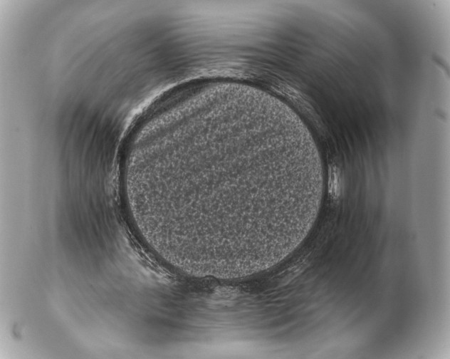 X0000102480388200808291632