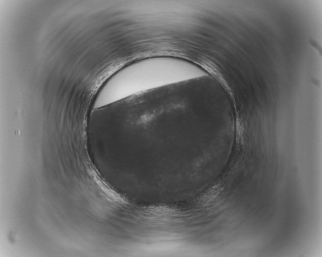 X0000102480389200808291632