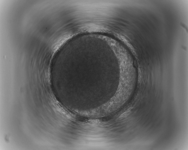 X0000102480391200808291632