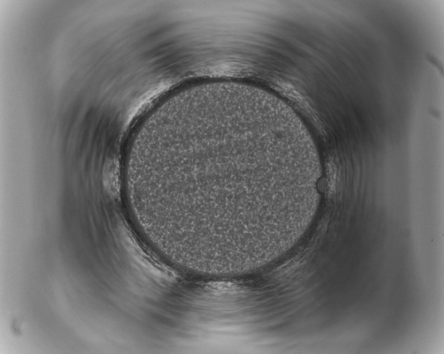 X0000102480392200808291632