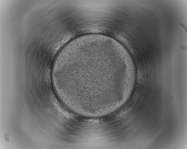 X0000102480394200808291632