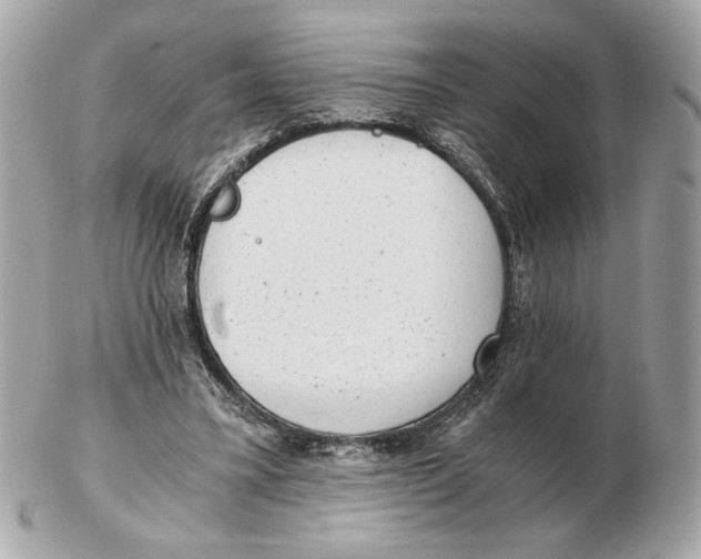 X0000102480395200808291632