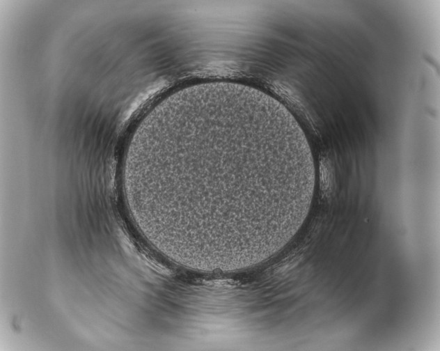 X0000102480396200808291632