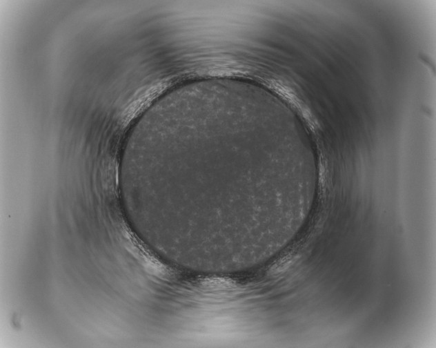 X0000102480397200808291632