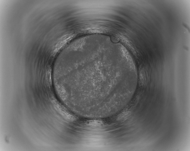 X0000102480398200808291632