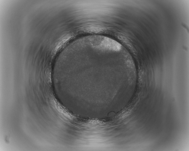 X0000102480399200808291632