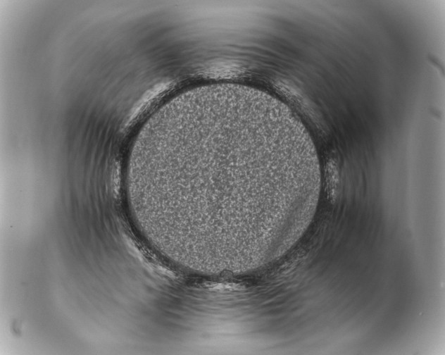 X0000102480400200808291632