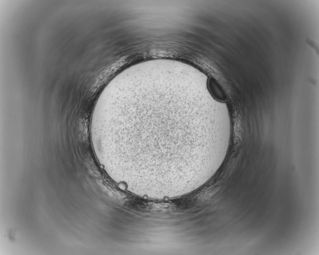 X0000102480401200808291632